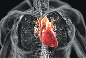 Nonischemic Cardiomyopathy