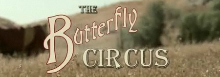 butterflycircus